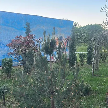 Dvg Pensiune
