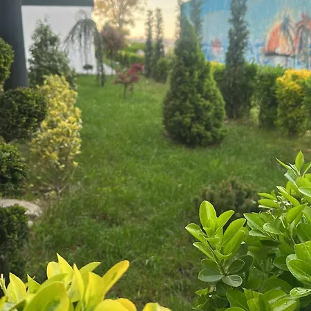 Dvg 3* Costineşti