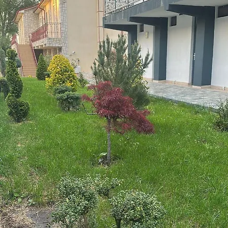 Dvg Pensiune 3*