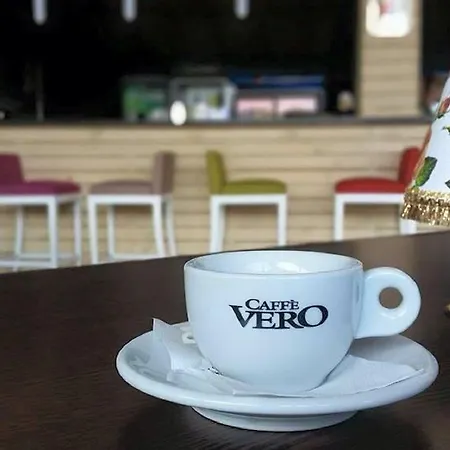 Dvg Pensiune