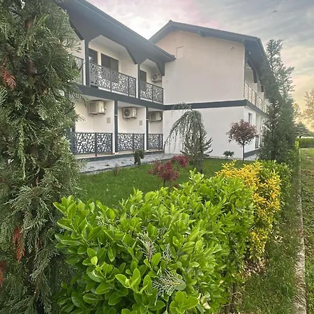 Dvg